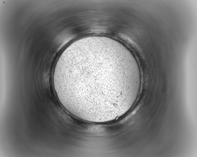 X0000086981162200704301312