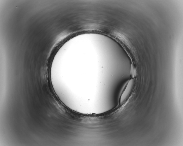 X0000086981164200704301312