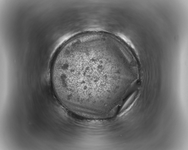 X0000086981167200704301312