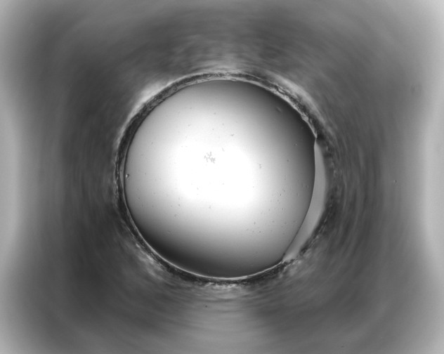 X0000086981168200704301312