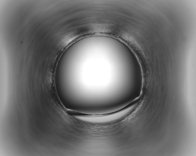 X0000086981169200704301312