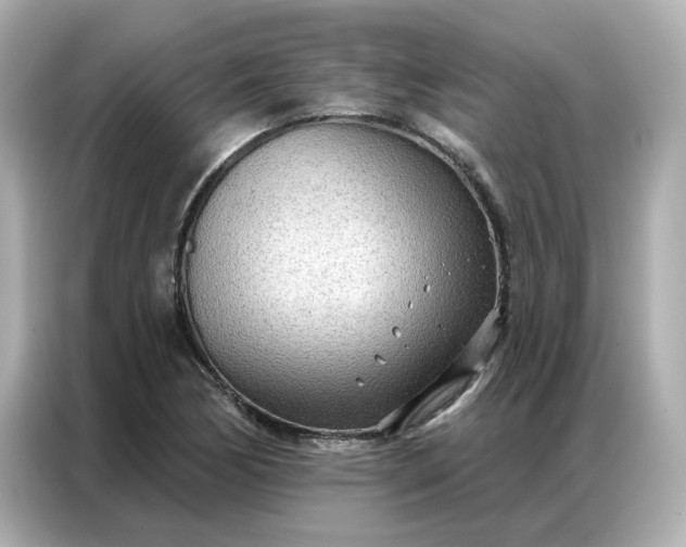 X0000086981170200704301312