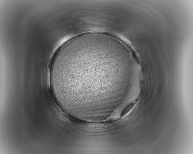 X0000086981171200704301312