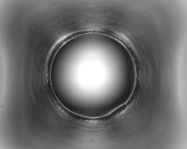 X0000086981172200704301312