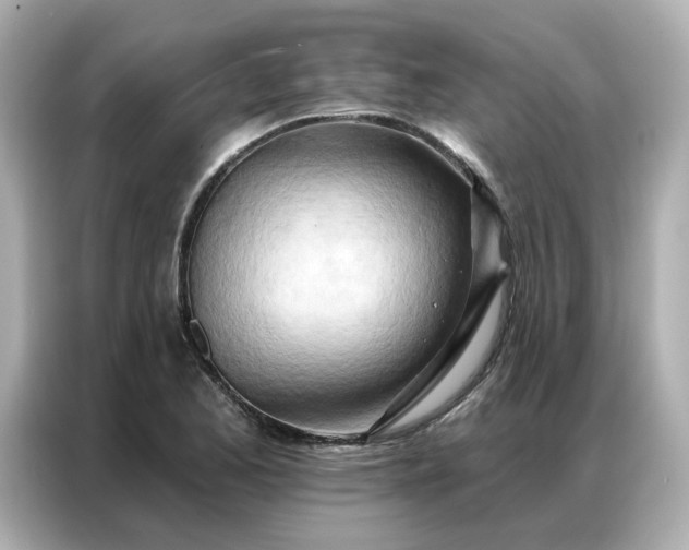 X0000086981173200704301311