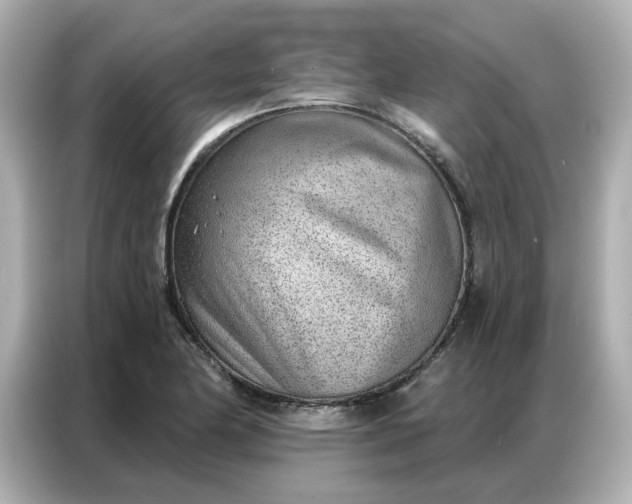 X0000086981174200704301311