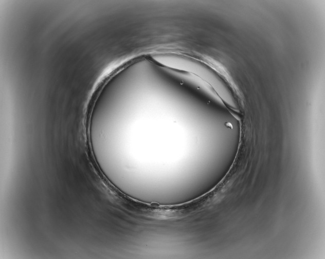 X0000086981176200704301311