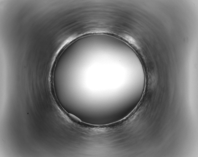 X0000086981181200704301311