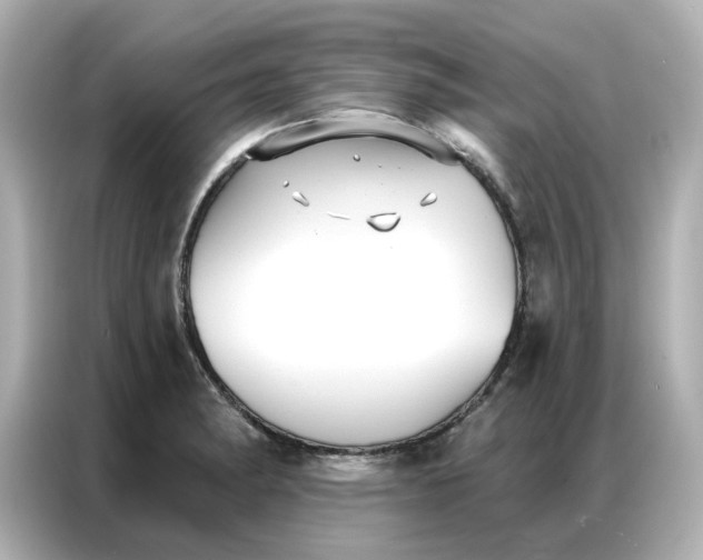 X0000086981182200704301311