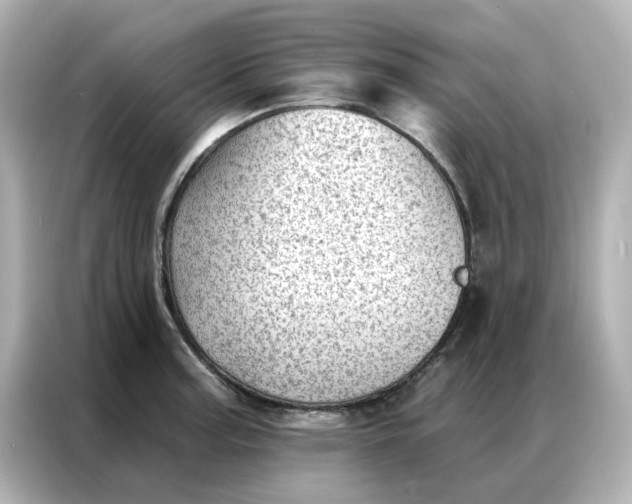 X0000086981187200704301311