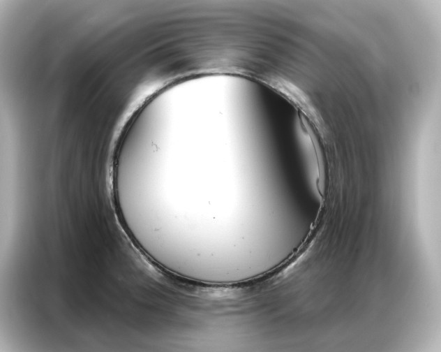 X0000086981188200704301311