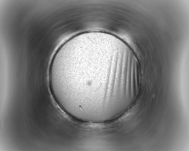 X0000086981191200704301311