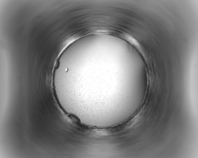 X0000086981194200704301311