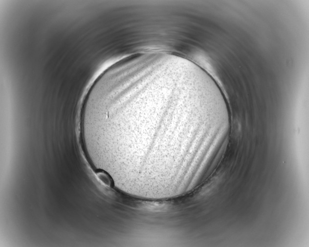 X0000086981195200704301311