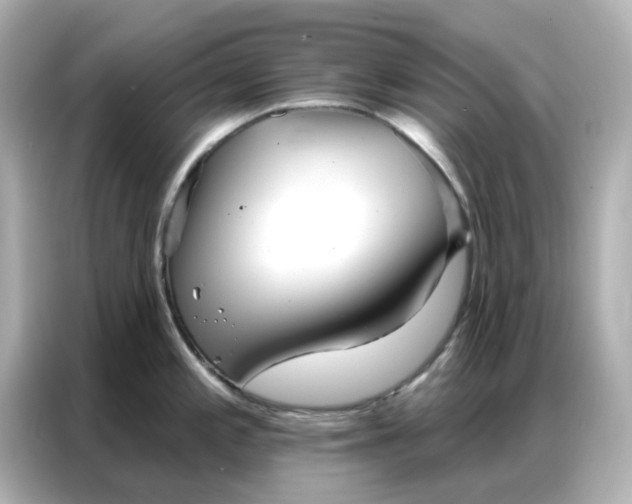 X0000086981197200704301311