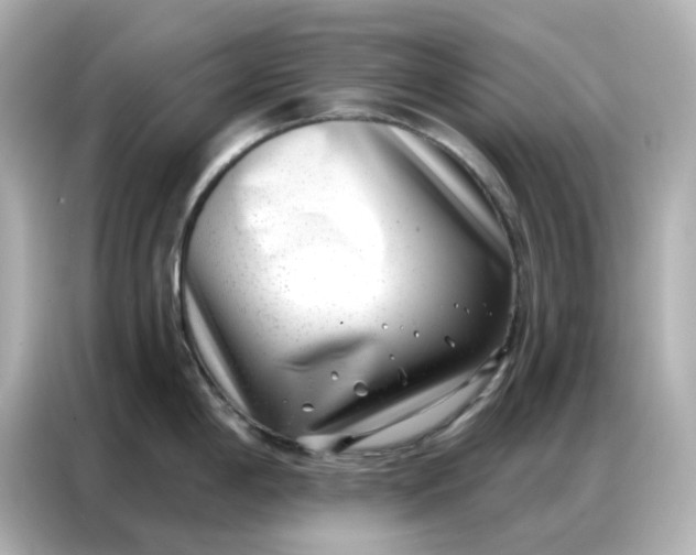 X0000086981198200704301311