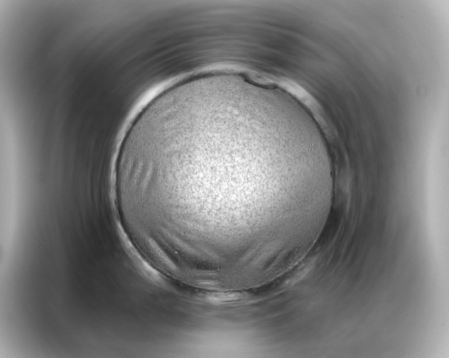 X0000086981199200704301311