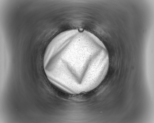 X0000086981201200704301311