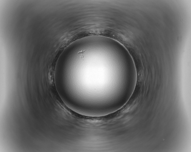 X0000086981202200704301311