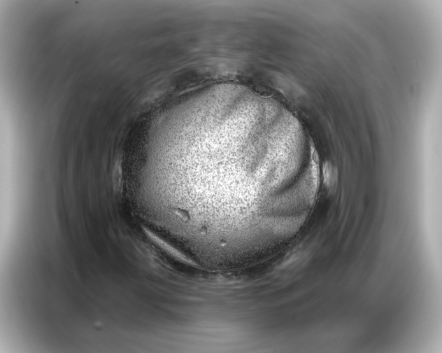 X0000086981203200704301311