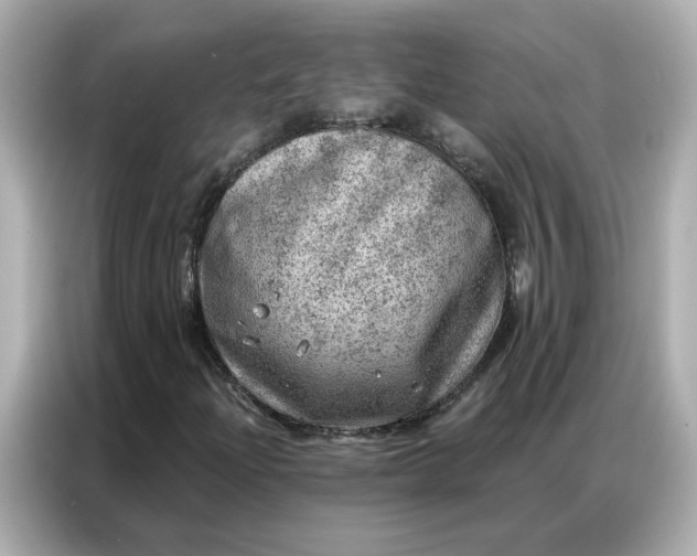 X0000086981204200704301311