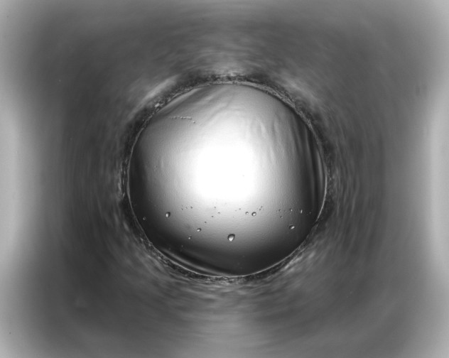 X0000086981205200704301311