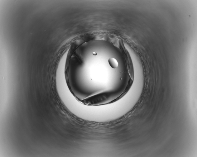 X0000086981206200704301311