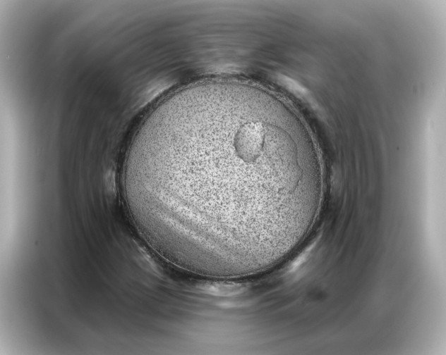 X0000086981209200704301311