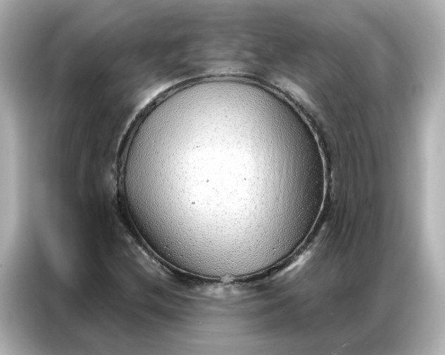 X0000086981212200704301311