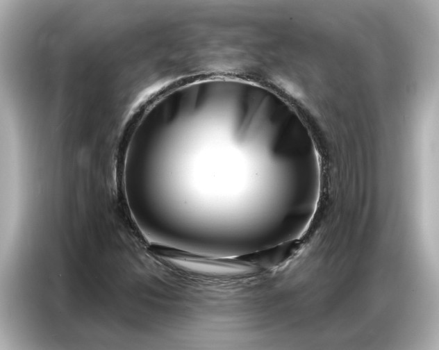 X0000086981214200704301311