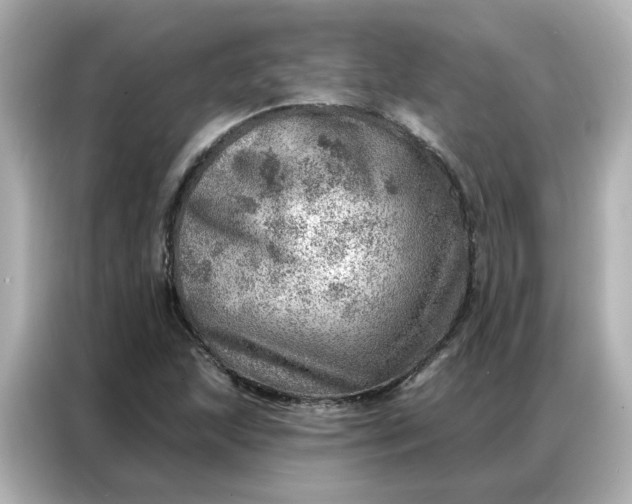 X0000086981215200704301311