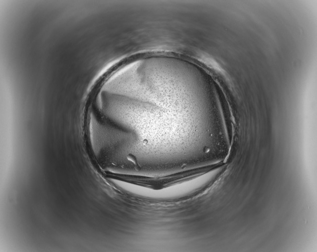 X0000086981216200704301311