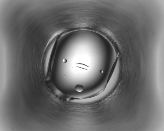 X0000086981218200704301311