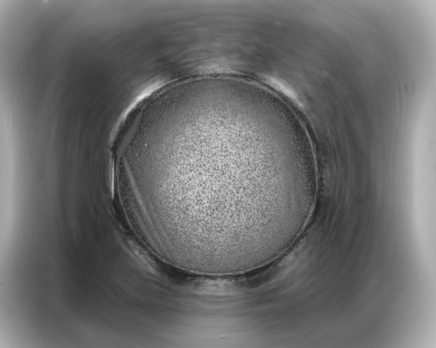 X0000086981219200704301311