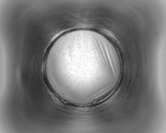 X0000086981220200704301311