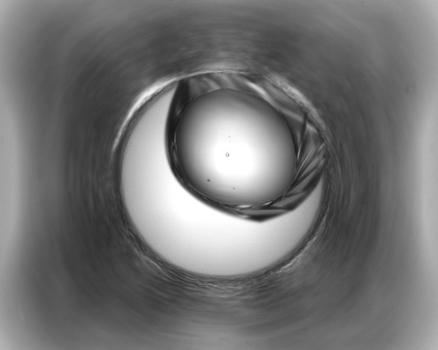 X0000086981222200704301311