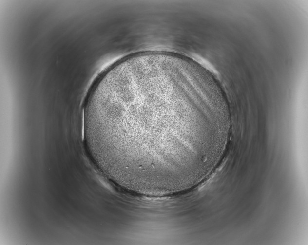 X0000086981223200704301311