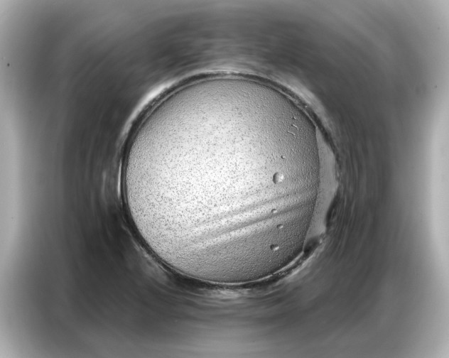 X0000086981224200704301311