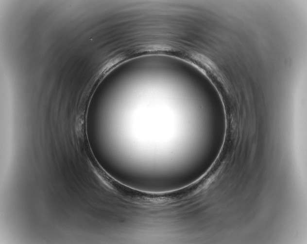 X0000086981225200704301311