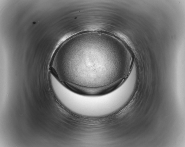 X0000086981226200704301311