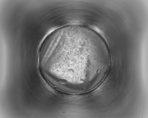 X0000086981227200704301311