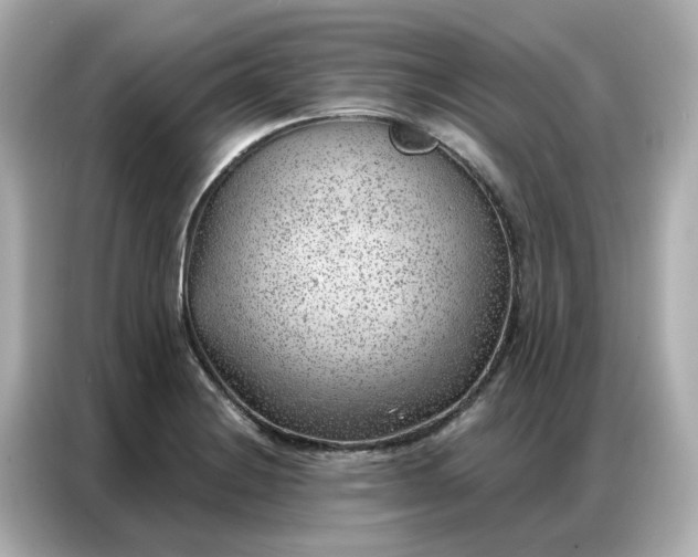 X0000086981228200704301311