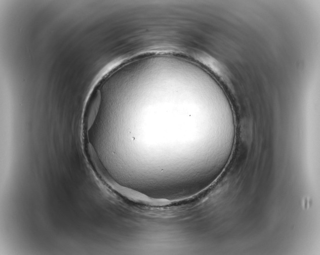 X0000086981229200704301311