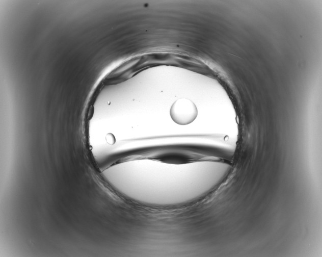 X0000086981230200704301311