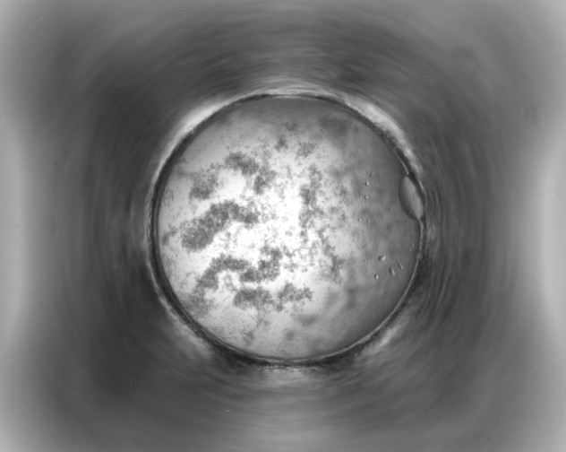 X0000086981231200704301311