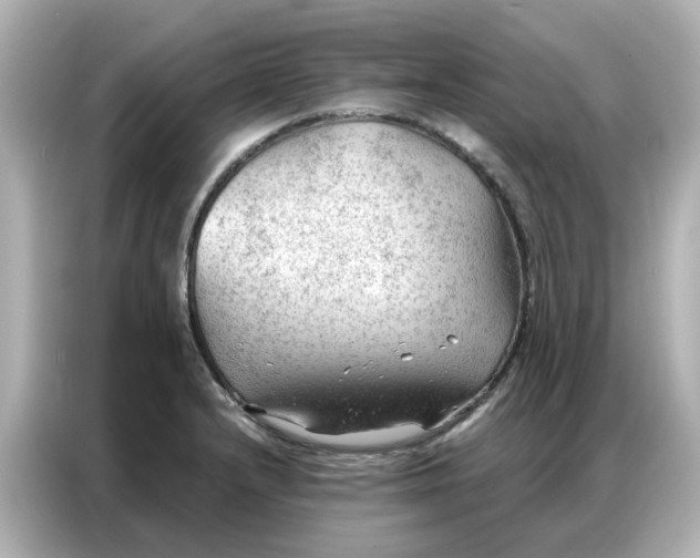 X0000086981232200704301311