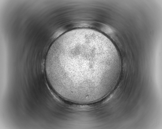 X0000086981233200704301311