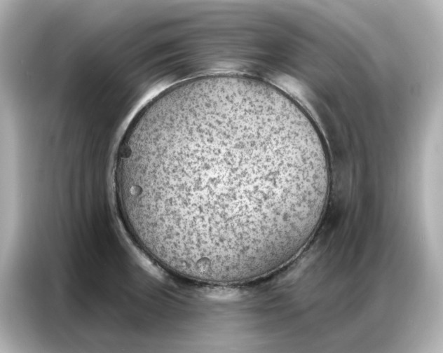 X0000086981235200704301311