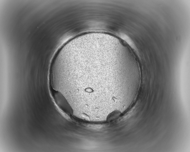 X0000086981237200704301311