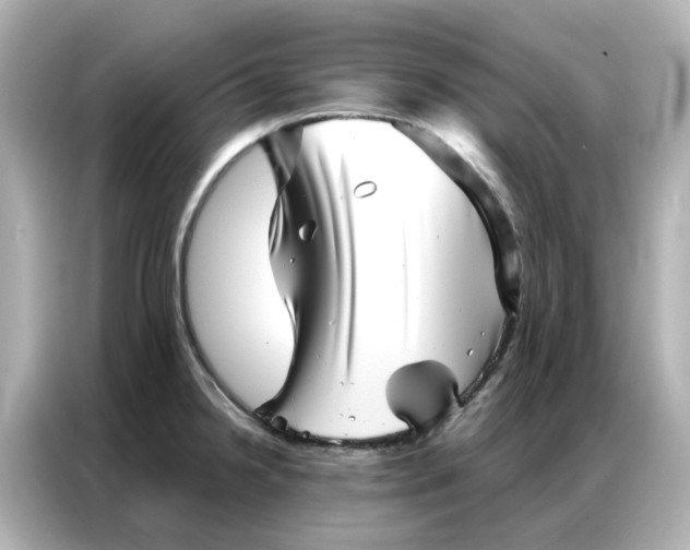 X0000086981238200704301311